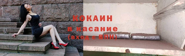 стафф Бородино