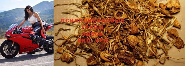 марки nbome Баксан