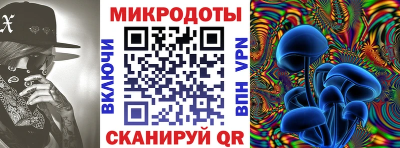 закладка Ливны сайты даркнета официальный сайт Псилоцибиновые грибы Psilocybe